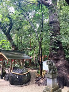 大谷翔平選手も触れたといわれている花の窟神社に鎮座する丸石。